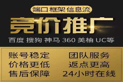 SEM竞价代运营：案例展示精准营销效果